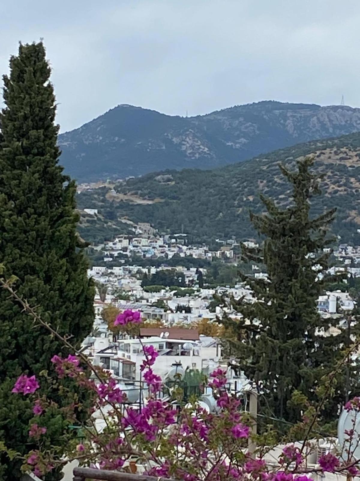 Izan Bakis Appart hôtel *